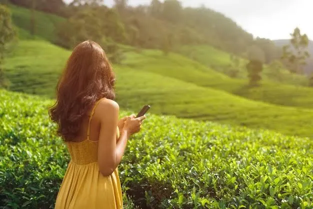Need Girl | Lanka Ads – Pulse Feed